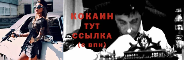 тгк Алексин