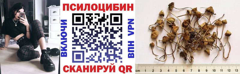 Галлюциногенные грибы прущие грибы  Курганинск 