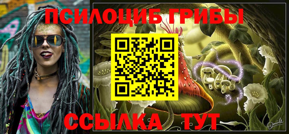 Курганинск  Галлюциногенные грибы Magic Shrooms  Галлюциногенные грибы Psilocybine cubensis  Вход с VPN 