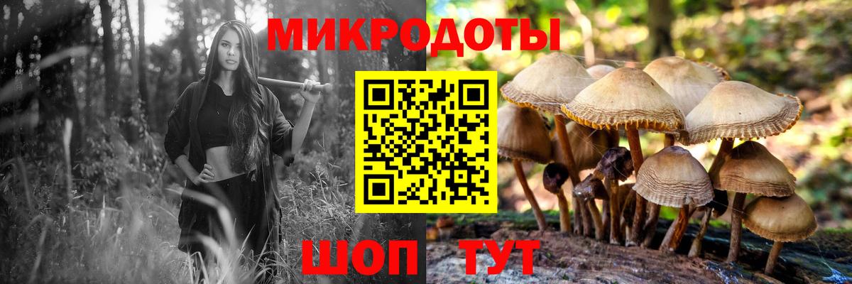 Псилоцибиновые грибы MAGIC MUSHROOMS Курганинск